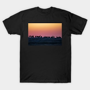 Peace in the Morning T-Shirt